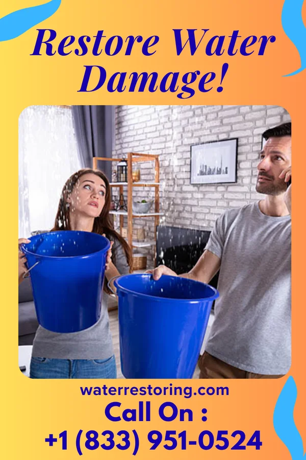 water restoration Quick Water Mitigation & Associates Six Mile Run