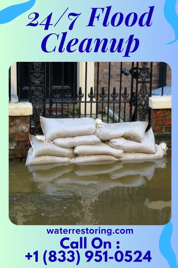 24/7 Flood Cleanup in Six Mile Run, NJ