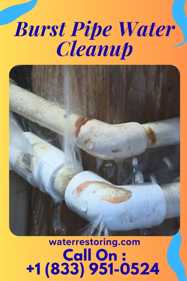 Burst Pipe Water Cleanup in Six Mile Run, NJ