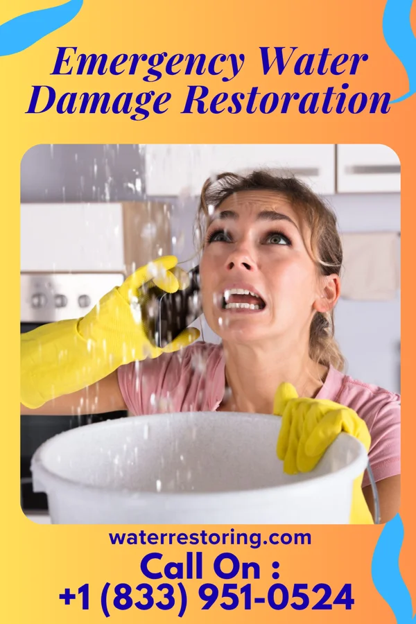 Emergency Water Damage Restoration in Six Mile Run, NJ