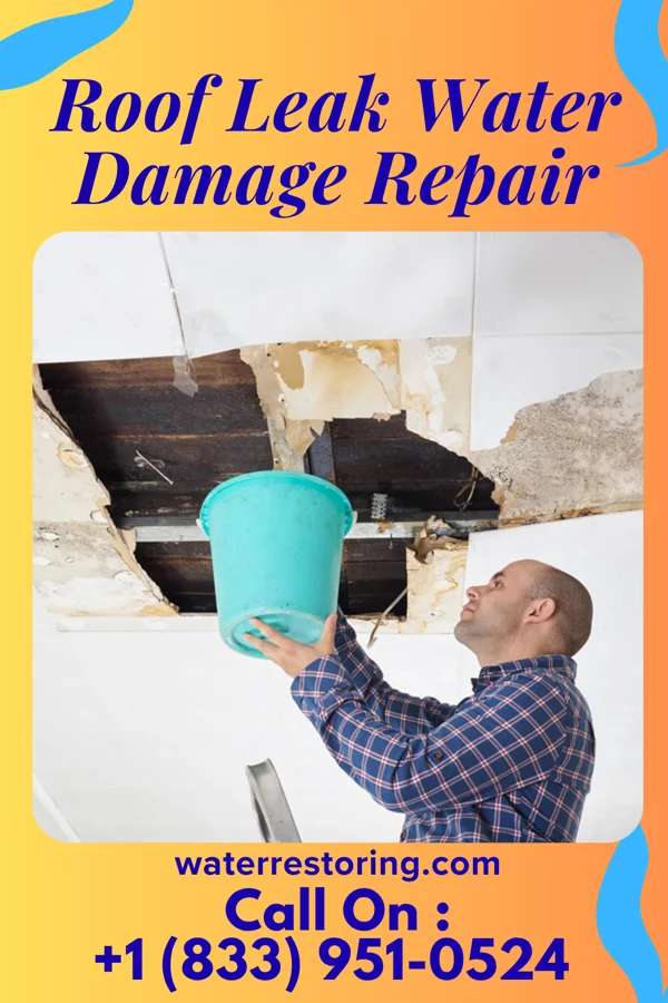 Roof Leak Water Damage Repair in Six Mile Run, NJ
