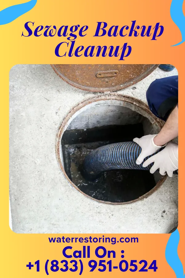 Sewage Backup Cleanup in Six Mile Run, NJ