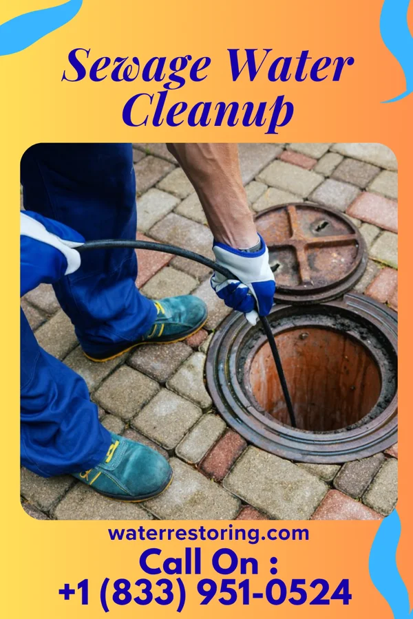 Sewage Water Cleanup in Six Mile Run, NJ